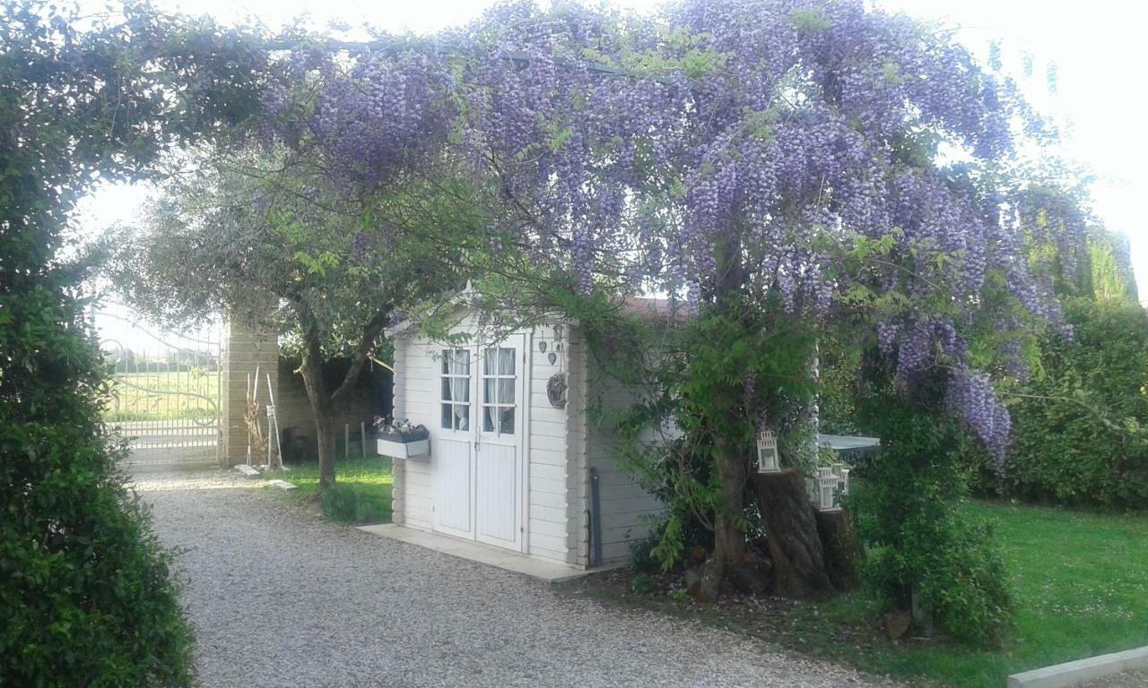 Alice'S Room By Casolare Isabella Ponsacco Exterior foto